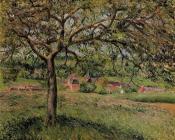 卡米耶 毕沙罗 : Apple Tree at Eragny